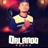 orlandorochadiferenciado