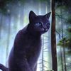 nomadicmeorlark