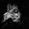 ٱﻟ̣̣مصمم ڪْٱدي