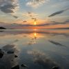 anna_sproule7
