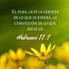 mariaamparo4526