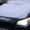 vossibaer73