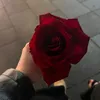 o.n.l.y.g.i.r.l