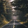 ahmedabdelsalam7936