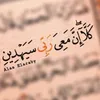 hallom333