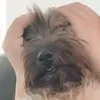 dailydabid