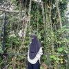 ainauhibbi