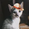 monkeydlaw__