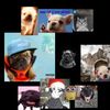 pibbleloveryippe
