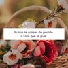 elodia12.san