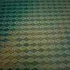 idalia_8888