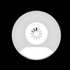 adam_donld