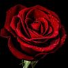 dytirqhgbe43