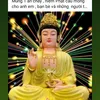 thaohuynh0101