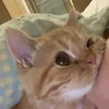 meocte_kk