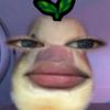 imsusantii