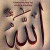 zanah_71