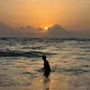 shenalminusha