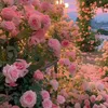 blissfull143