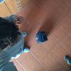 chico_duarte19