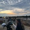 labeddu28_