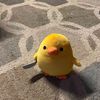 senossww