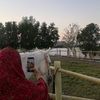 maryam_.73