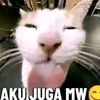 daffasetelahbefore