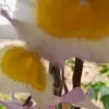 thanhnguyenthi123456