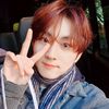 fanxinyib