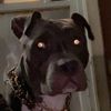 donna111441