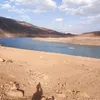 hamzawi.lhamzawi