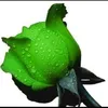 oanh.30111