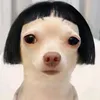bbeartpshv