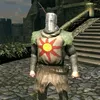 solaire528