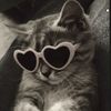 missreen___
