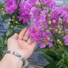 annhien_68686