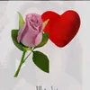 zuleidemartins389