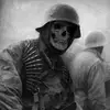 vrilo_