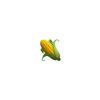 corn.wz