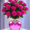N.begum12