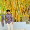lakshankumara18