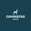 caminatas.caninas.peru
