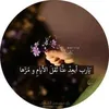 user62336958293007
