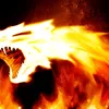 fire_re_flex