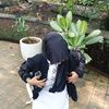sasabil_a6