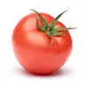 tomato_m4n