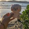 ylaqueso_41