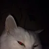 _nubinhu