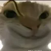 thuysususu_08